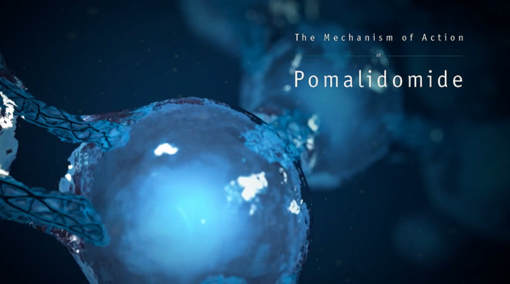 Watch a Video on POMALYST® (pomalidomide) (pomalidomide) MOA