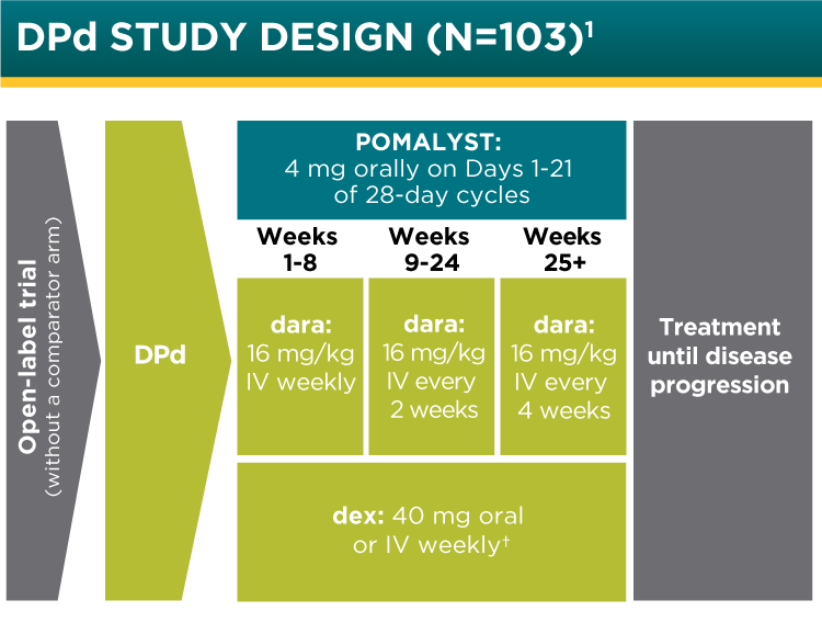 DPd Study Design